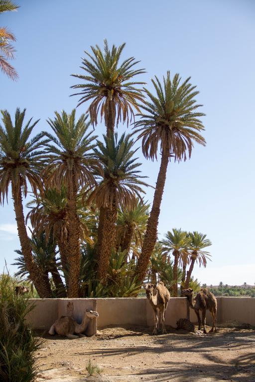 Skoura Lodge Buitenkant foto